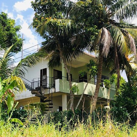 Rice Field View Home Stay Tangalle Ngoại thất bức ảnh