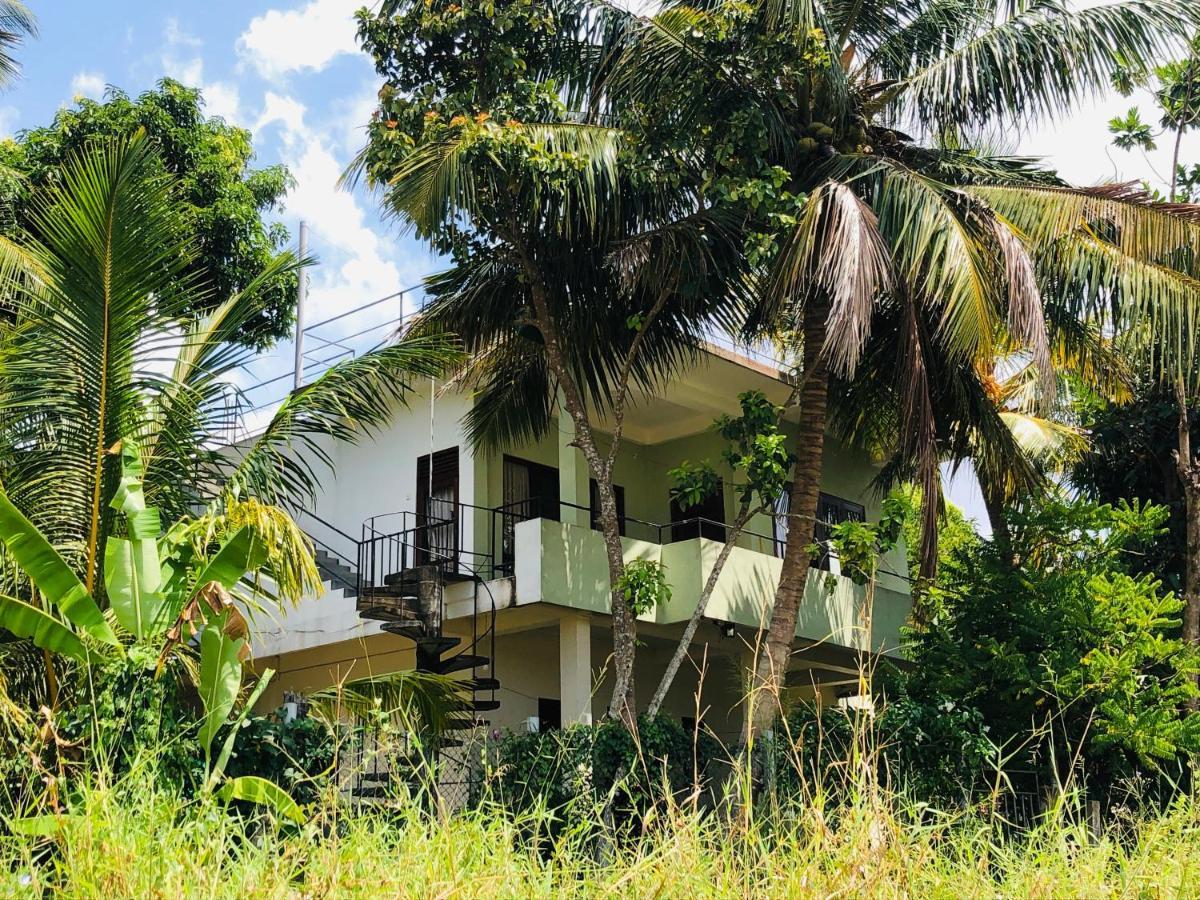 Rice Field View Home Stay Tangalle Ngoại thất bức ảnh