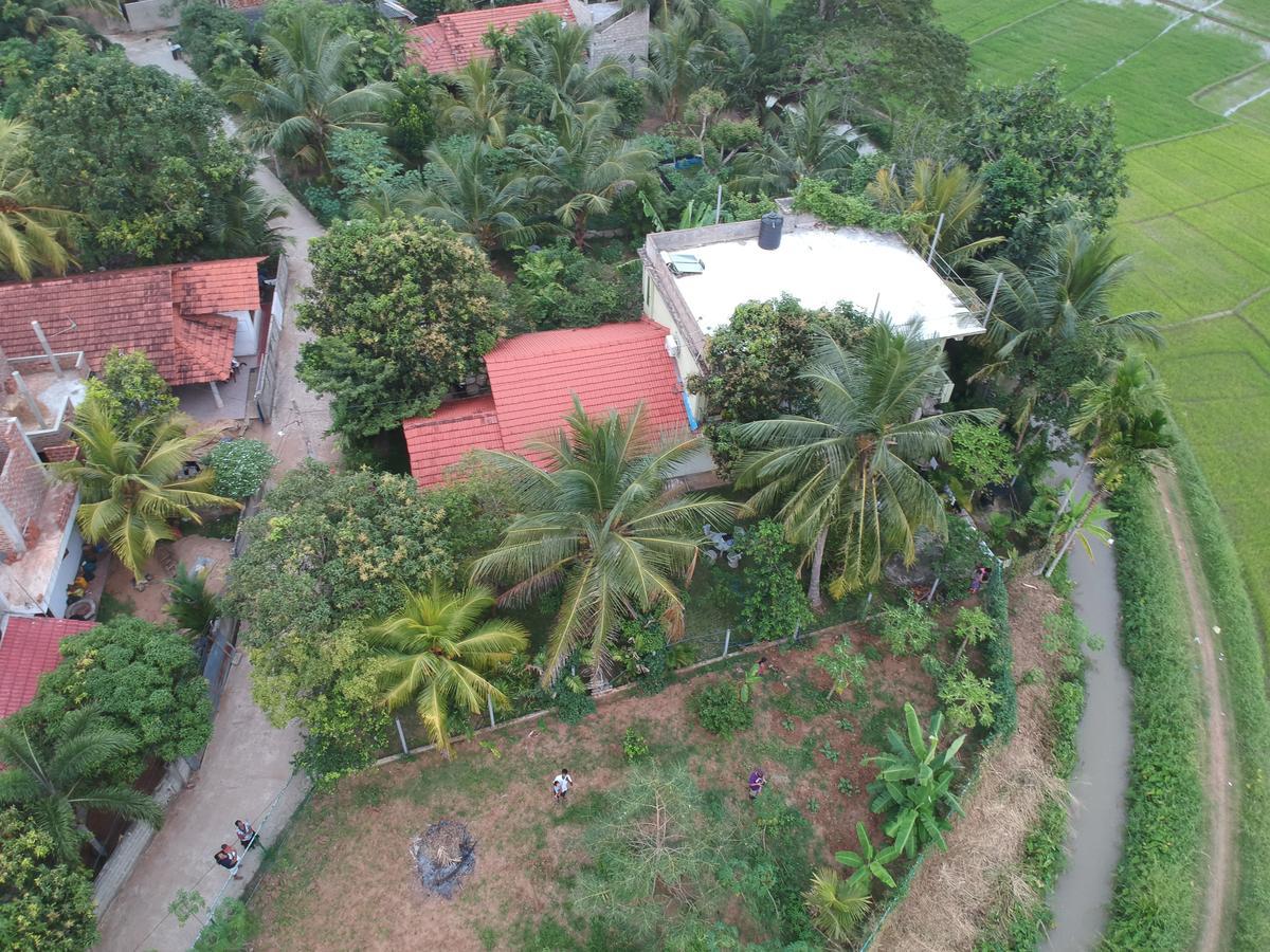 Rice Field View Home Stay Tangalle Ngoại thất bức ảnh