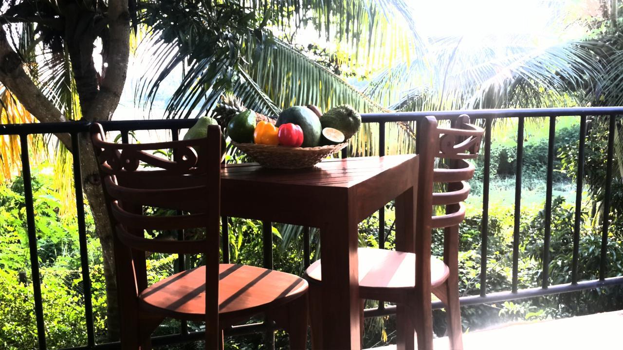 Rice Field View Home Stay Tangalle Ngoại thất bức ảnh